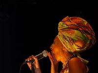 Forest Riddim au CMCL à Gap  Forest Riddim - Valérie Kande