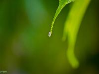 Photos du mois - Archives  Quand vient la pluie ...