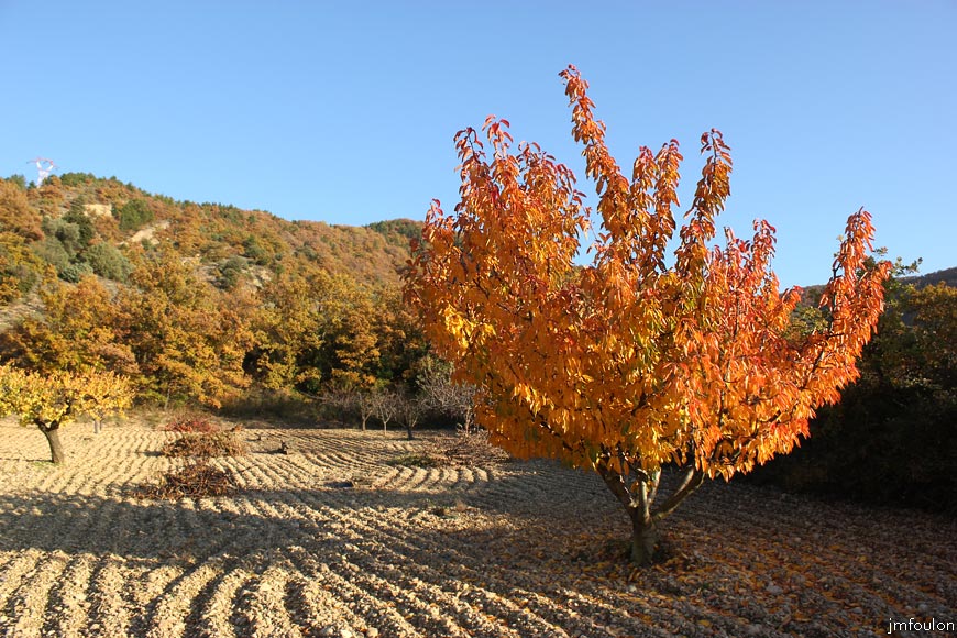 lescale-verger-02web.jpg - L'Escale -  Verger en plein flamboiement