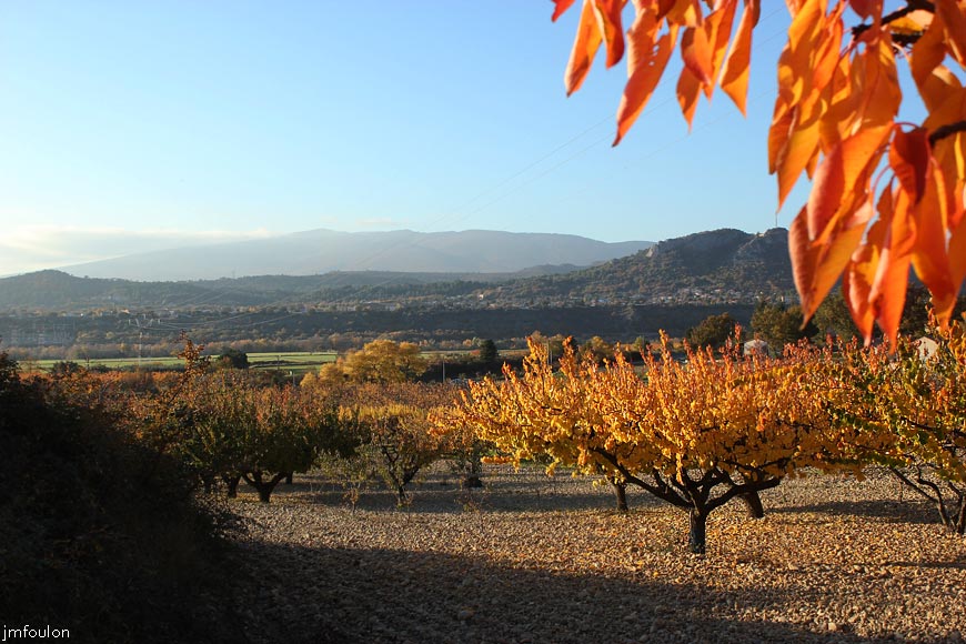 lescale-verger-05web.jpg - L'Escale - Vue sur Lure au loin et au 1er plan, sur le collet de St Jean à l'Est duquel se trouvent Château-Anoux  et St Auban. On voit ici St Auban