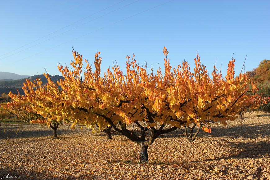 lescale-verger-07web.jpg - L'Escale - Superbe ce petit verger caillaouteux