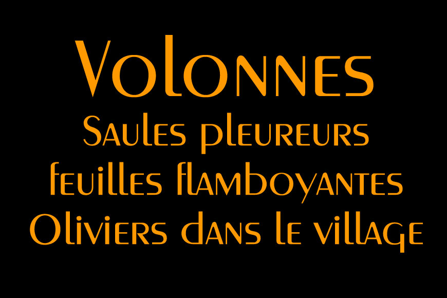 saules-volonne-0web.jpg - Volonnes