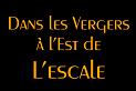 lescale-verger-00web