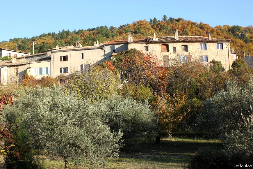 volonne-oliviers-web.jpg - Olivette à Volonne. Au centre sous les bâtisses, des kakis, fruits du plaqueminier