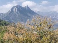 Automne 2018  L'automne en Haute Provence