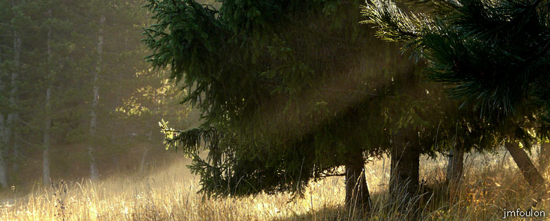 automne_lure-02.jpg