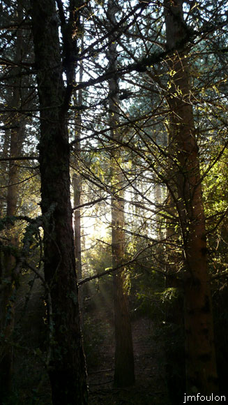 automne_lure-04a.jpg