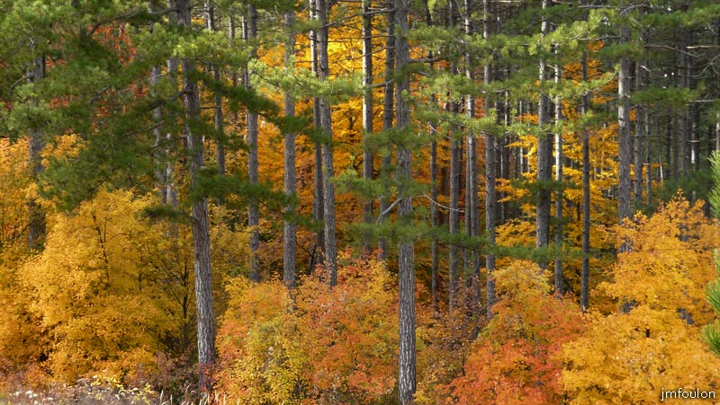 automne_lure-05.jpg