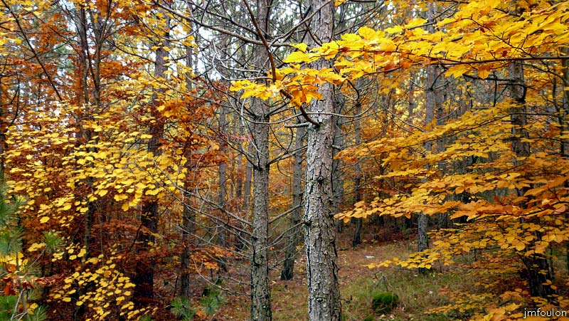 automne_lure-09.jpg