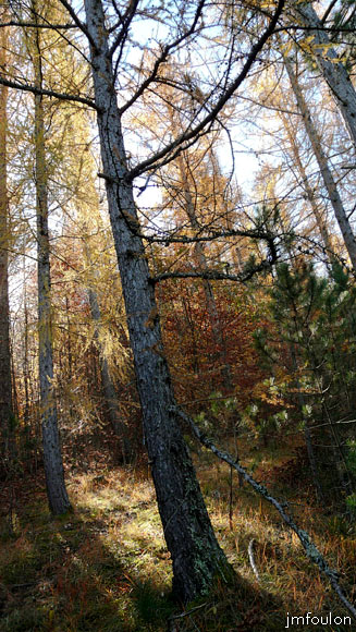 automne_lure-17.jpg