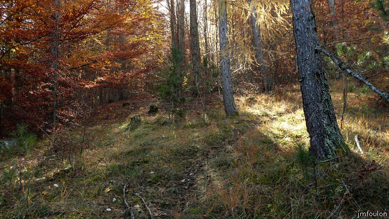 automne_lure-18.jpg