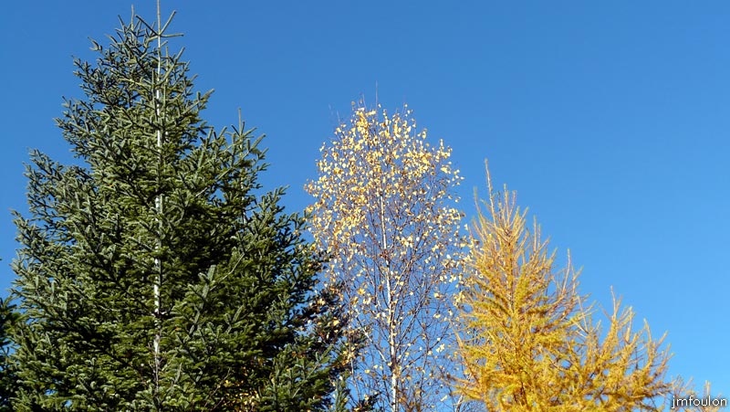 automne_lure-20.jpg