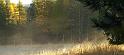 automne_lure-01