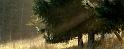 automne_lure-02