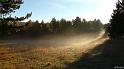 automne_lure-03