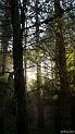 automne_lure-04a