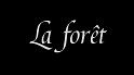 automne_lure-04b