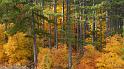automne_lure-05