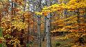 automne_lure-09