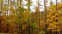 automne_lure-10