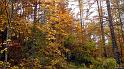 automne_lure-12a