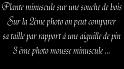 automne_lure-12b