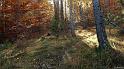 automne_lure-18