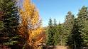 automne_lure-19