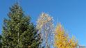 automne_lure-20