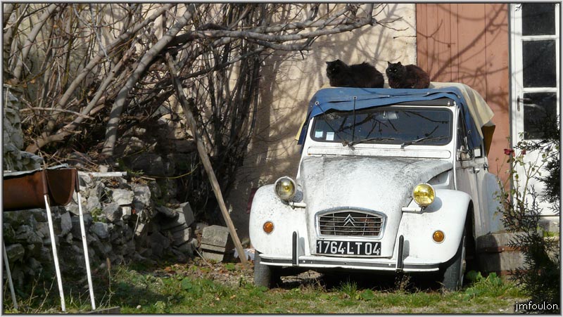 banon-bas-49web.jpg - Chats sur une Deuch