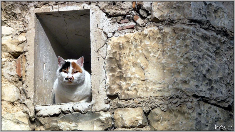 banon-bas-50web.jpg - Chat dans un fenestron