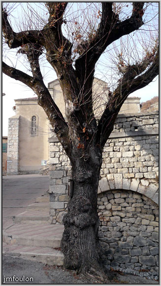 banon-bas-76web.jpg - Arbre solitaire. Derriére on aperçois l'église Saint-Just, assez rescente puisque construite de 1909 à 1911