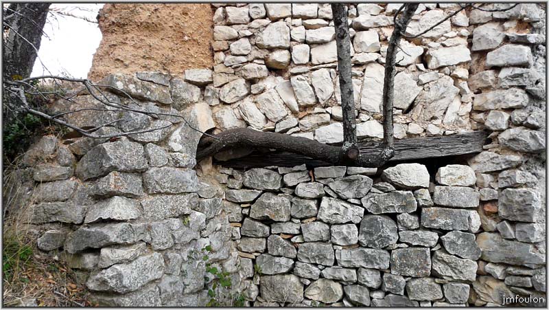 banon-126web.jpg - Ouverture murée et à gauche une sorte d'entrée de four dans laquelle un arbre à poussé
