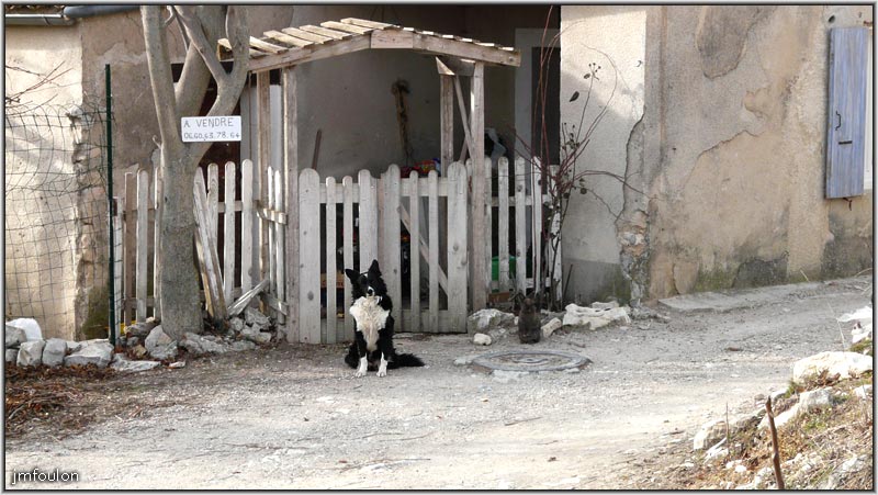 banon-88web.jpg - Je garde la maison avec le lapin !