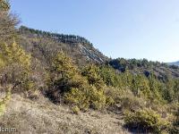 Barret sur Méouge - Hautes Alpes  Vue vers le Nord/Est