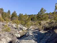 Barret sur Méouge - Hautes Alpes  Le sentier non balisé, traverse ici des marnes