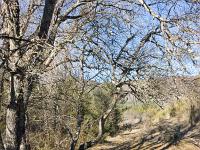 Barret sur Méouge - Hautes Alpes  Au abords du torrent du Rif