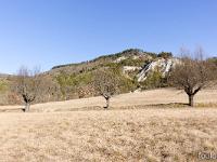 Barret sur Méouge - Hautes Alpes  Champs de Malte