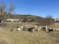 Barret sur Méouge - Hautes Alpes  Autre vue sur le village et ses environs