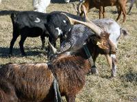 Barret sur Méouge - Hautes Alpes