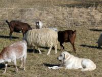 Barret sur Méouge - Hautes Alpes