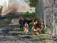 Barret sur Méouge - Hautes Alpes  Dans le village