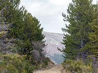 Barret sur Méouge - Hautes Alpes  Vue sur la piste au niveau de la Canule (voir la carte IGN)