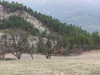 Barret sur Méouge - Hautes Alpes  Paturages et rive droite du torrent du Rif