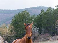 Barret sur Méouge - Hautes Alpes  Hello ! ...