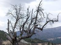Barret sur Méouge - Hautes Alpes