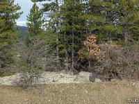 Barret sur Méouge - Hautes Alpes  Sous-bois à l'adret de la montagne de l'Ubac