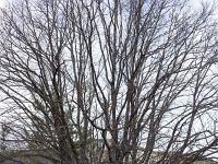 Barret sur Méouge - Hautes Alpes