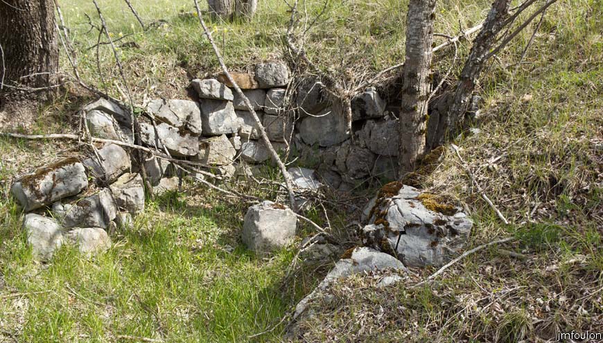 bayons-ch-fer-combe_19.jpg - Ruines de la ferme de l'Adret - Petit espace empierré