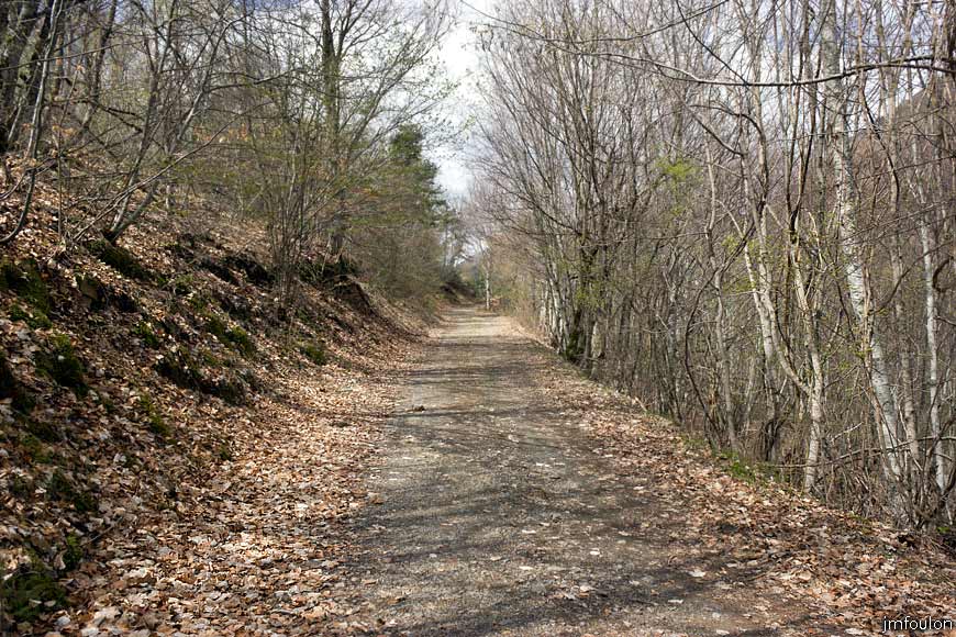 bayons-ch-fer-combe_34.jpg - La piste de la Grande Cabane (vue à contresens de la marche)